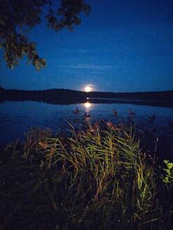 Click image for larger version

Name:	DSC_0165.JPG
Views:	579
Size:	1,93 MB
ID:	2617772