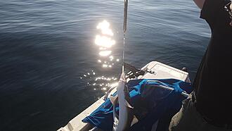 Click image for larger version

Name:	4.jpg
Views:	271
Size:	221,4 KB
ID:	2518780