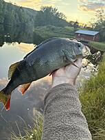 Click image for larger version  Name:	IMG_1651.jpg Views:	0 Size:	2,79 MB ID:	2669077