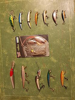 Click image for larger version

Name:	20190907_040345.jpg
Views:	148
Size:	1,34 MB
ID:	2521949