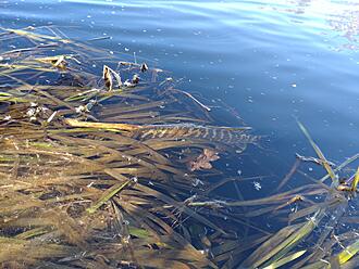 Click image for larger version

Name:	DSC_0281.JPG
Views:	468
Size:	2,02 MB
ID:	2618501