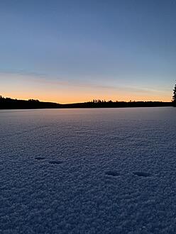Click image for larger version

Name:	D7B7947C-8D98-44C3-825E-388F90C30847.jpeg
Views:	633
Size:	2,05 MB
ID:	2616628