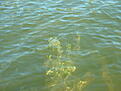 Click image for larger version

Name:	dscf0001.jpg
Views:	210
Size:	739,6 KB
ID:	1751912