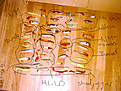 Click image for larger version

Name:	virre 004[1].bmp
Views:	165
Size:	900,1 KB
ID:	1751978