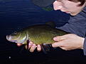 Click image for larger version

Name:	kopia av rudsutare.jpg
Views:	163
Size:	39,6 KB
ID:	1752375
