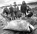 Click image for larger version

Name:	Halibut283kg.jpg
Views:	125
Size:	40,8 KB
ID:	1752678