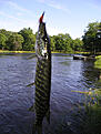 Click image for larger version

Name:	IMGP1523.jpg
Views:	164
Size:	128,3 KB
ID:	1752993