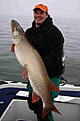 Click image for larger version

Name:	muskie52,5inch.jpg
Views:	198
Size:	41,8 KB
ID:	1753934