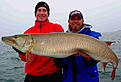 Click image for larger version

Name:	muskie54inch.jpg
Views:	206
Size:	52,0 KB
ID:	1753935