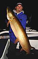 Click image for larger version

Name:	muskie55,5inch.jpg
Views:	224
Size:	43,0 KB
ID:	1753936