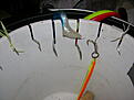 Click image for larger version

Name:	DSCN3426.JPG
Views:	212
Size:	178,4 KB
ID:	1754137