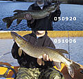 Click image for larger version

Name:	sammagadda.jpg
Views:	168
Size:	205,1 KB
ID:	1754187