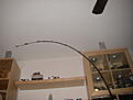 Click image for larger version

Name:	IMGP0690.JPG
Views:	489
Size:	133,9 KB
ID:	1754478