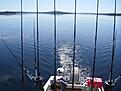 Click image for larger version

Name:	IMGP09341.jpg
Views:	450
Size:	134,9 KB
ID:	1754830