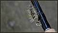 Click image for larger version

Name:	robinsbidrag.jpg
Views:	152
Size:	272,4 KB
ID:	1754916