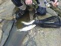 Click image for larger version

Name:	DSC00132 (Small).jpg
Views:	968
Size:	61,6 KB
ID:	1755012