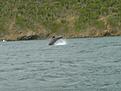 Click image for larger version

Name:	freewilly.JPG
Views:	153
Size:	206,8 KB
ID:	1755371