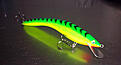 Click image for larger version

Name:	turus_ukko_firetiger.jpg
Views:	183
Size:	75,9 KB
ID:	1755577