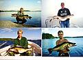 Click image for larger version

Name:	fiske j�rnlunden 3.JPG
Views:	2349
Size:	421,2 KB
ID:	1755675