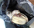 Click image for larger version

Name:	DSC00057.JPG
Views:	175
Size:	289,8 KB
ID:	1755866