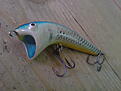 Click image for larger version

Name:	DSC00649.JPG
Views:	84
Size:	875,3 KB
ID:	1756006