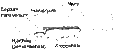 Click image for larger version

Name:	Anatomi_3.gif
Views:	209
Size:	10,2 KB
ID:	1756253