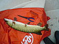 Click image for larger version

Name:	DSC00050.JPG
Views:	120
Size:	237,8 KB
ID:	1756285