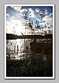 Click image for larger version

Name:	20081115_Fisketavling_Rosersberg_webben_74846.jpg
Views:	131
Size:	139,9 KB
ID:	1756571