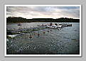 Click image for larger version

Name:	20081115_Fisketavling_Rosersberg_webben_74954.jpg
Views:	146
Size:	117,2 KB
ID:	1756575