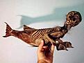 Click image for larger version

Name:	weirdseamonsters.jpg
Views:	233
Size:	19,6 KB
ID:	1756734