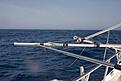 Click image for larger version

Name:	IMG_3192.jpg
Views:	129
Size:	90,8 KB
ID:	1756900
