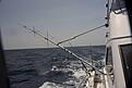 Click image for larger version

Name:	IMG_3189.jpg
Views:	122
Size:	104,4 KB
ID:	1756901