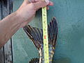 Click image for larger version

Name:	99cm_Loffefisk_dsc04173r.jpg
Views:	102
Size:	605,6 KB
ID:	1757914