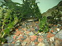 Click image for larger version

Name:	IMG_2183.JPG
Views:	377
Size:	582,9 KB
ID:	1758005