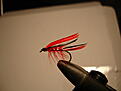 Click image for larger version

Name:	kineo 001.jpg
Views:	244
Size:	155,0 KB
ID:	1758479