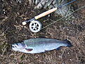 Click image for larger version

Name:	H&amp;amp;#246;kens&amp;amp;#229;s 2013-05-05 006.jpg
Views:	124
Size:	1,09 MB
ID:	1767620