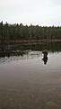 mms_img-737024951.jpg