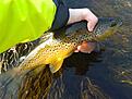 20140327_160826.jpg
