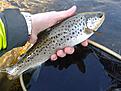 20140404_153626.jpg