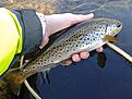 20140404_165021.jpg