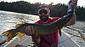 Click image for larger version

Name:	IMG-20150728-WA0001.jpg
Views:	1365
Size:	149,7 KB
ID:	1778955