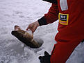 Click image for larger version

Name:	landning 4.6kg.jpg
Views:	266
Size:	44,2 KB
ID:	1788626