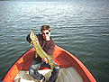 Click image for larger version

Name:	pike_4_1.jpg
Views:	295
Size:	304,1 KB
ID:	1788675
