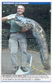 Click image for larger version

Name:	meerval.jpg
Views:	755
Size:	751,3 KB
ID:	1788690