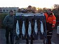 Click image for larger version

Name:	abel, ismo, jako.jpg
Views:	218
Size:	57,2 KB
ID:	1788871