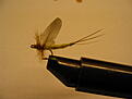 Click image for larger version

Name:	bild 004.jpg
Views:	214
Size:	485,2 KB
ID:	1788878