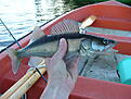 Click image for larger version

Name:	dscf0051.jpg
Views:	304
Size:	471,0 KB
ID:	1789029