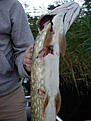 Click image for larger version

Name:	p8100088.jpg
Views:	288
Size:	196,3 KB
ID:	1789118
