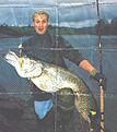 Click image for larger version

Name:	monsterpike.jpg
Views:	5270
Size:	21,3 KB
ID:	1789490