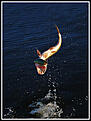 Click image for larger version

Name:	bild1.jpg
Views:	428
Size:	165,0 KB
ID:	1790796